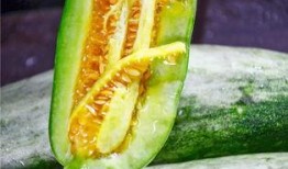 吃瓜视频网红的,揭秘吃瓜视频网红的崛起之路