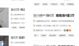 合肥房东最新爆料,揭秘租房市场的最新动态与痛点